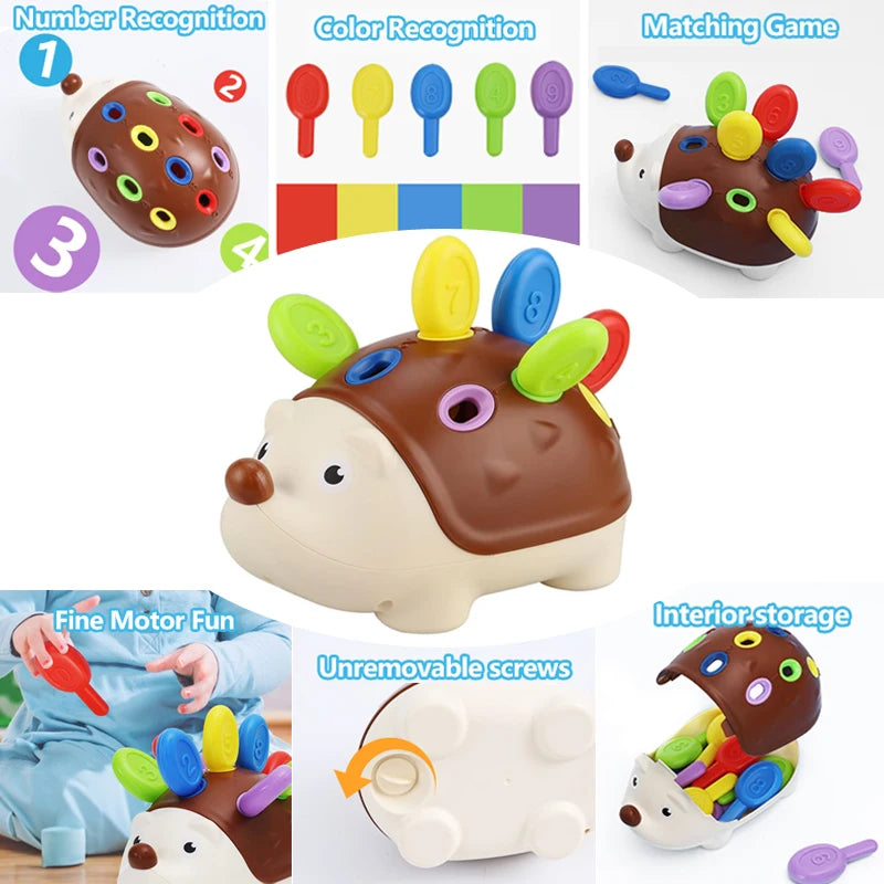 Hedgehog Montessori Fine Motor Toy