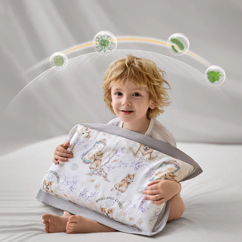 Cassia Seed Toddler Pillow