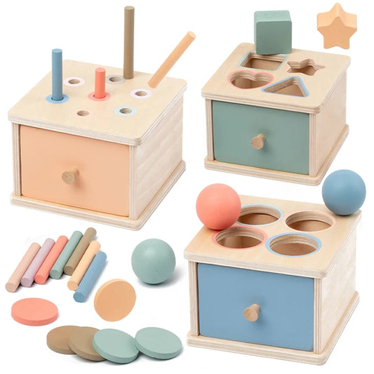 Wooden Shape Sorting Montessori Toy